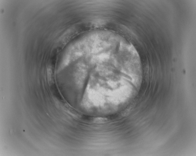 X0000070830222200607142349