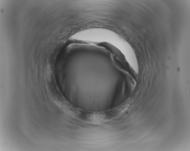 X0000070830223200607142349