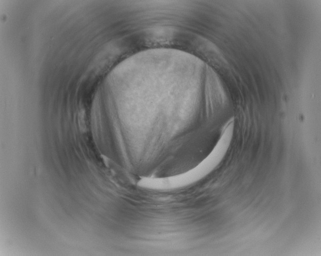 X0000070830224200607142349