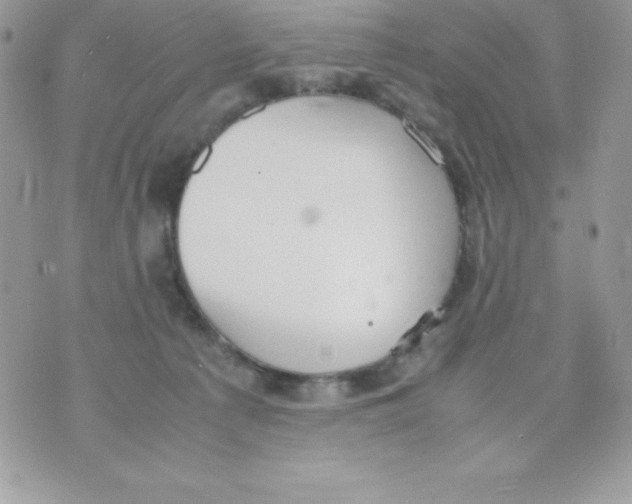 X0000070830225200607142349