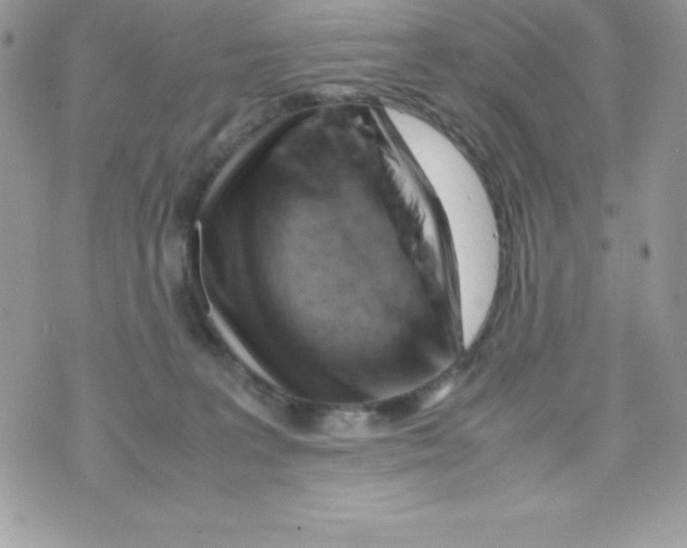 X0000070830227200607142349