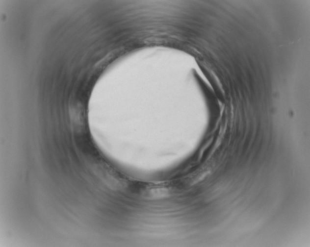 X0000070830228200607142349