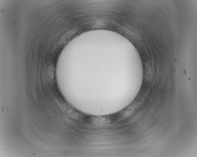 X0000070830230200607142349