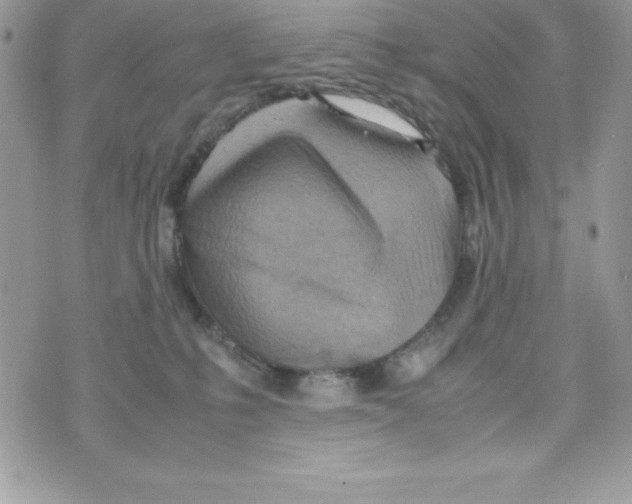 X0000070830231200607142349