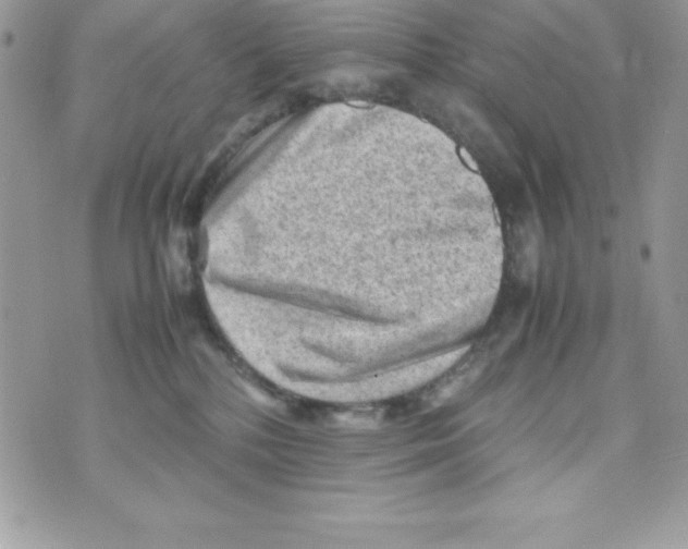 X0000070830232200607142349