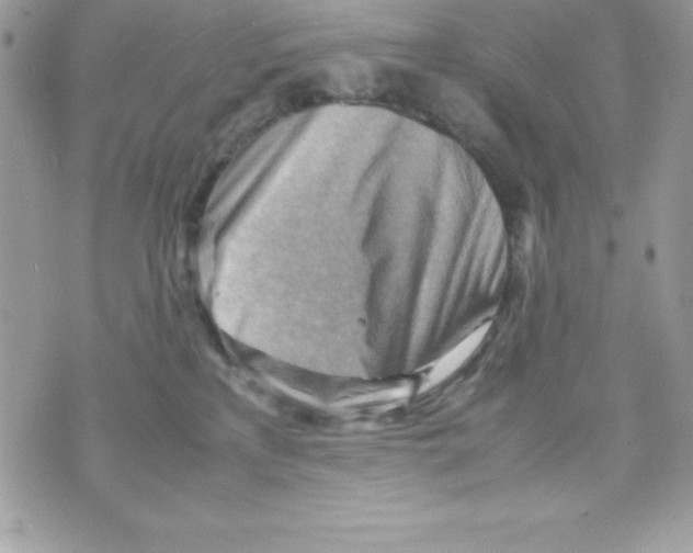 X0000070830233200607142349