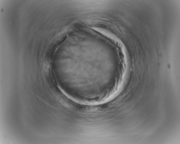 X0000070830235200607142349