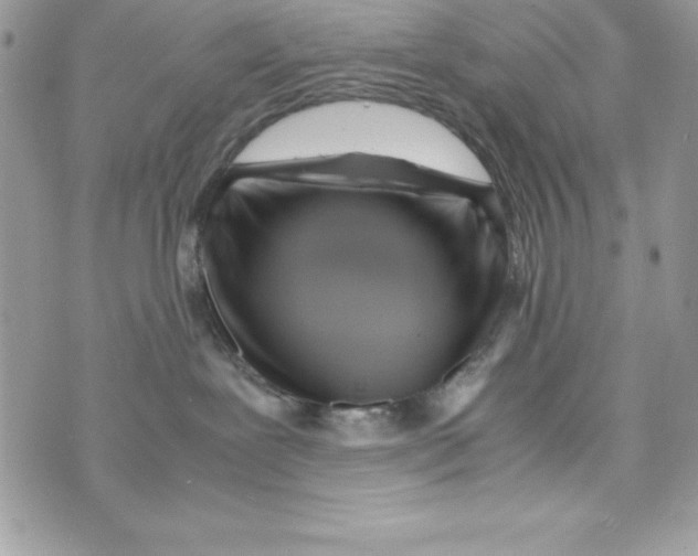 X0000070830239200607142349