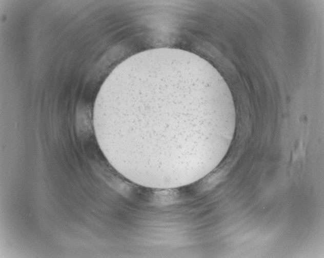 X0000070830240200607142349