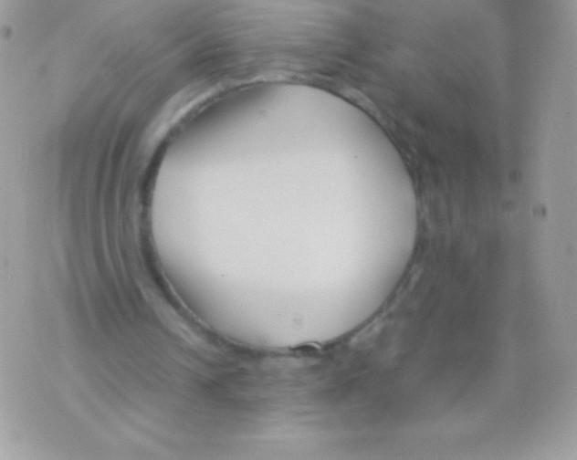 X0000070830242200607142348