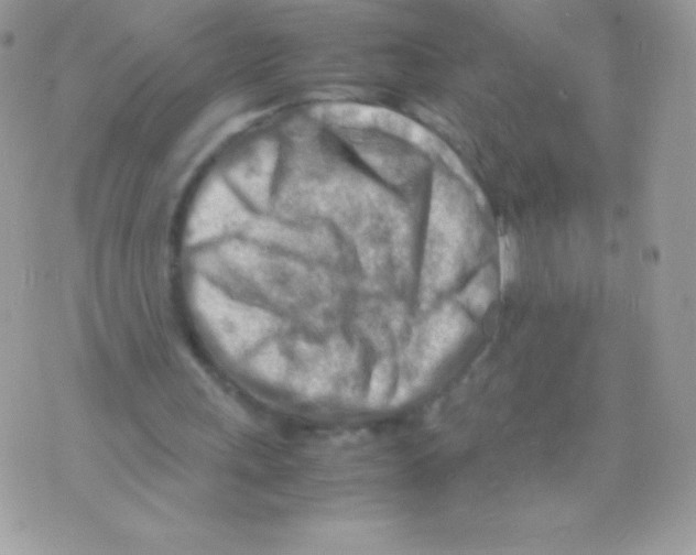 X0000070830243200607142348