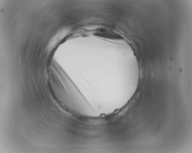 X0000070830245200607142348