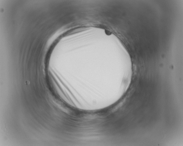 X0000070830246200607142348