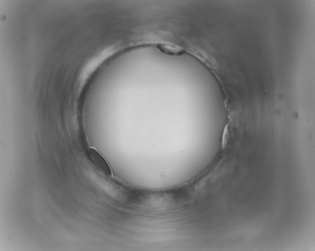 X0000070830248200607142348