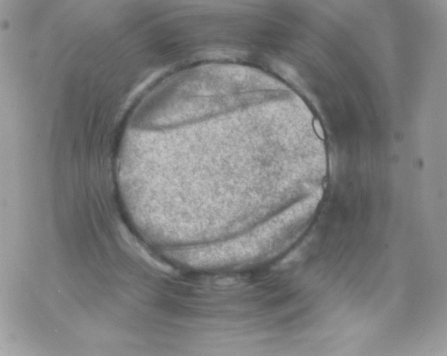 X0000070830249200607142348