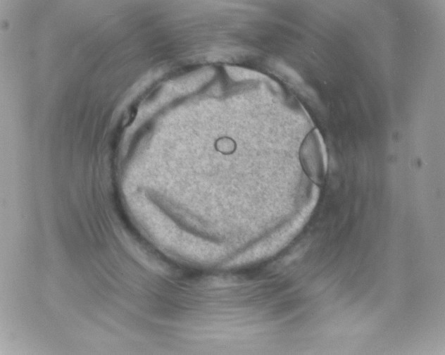 X0000070830250200607142348