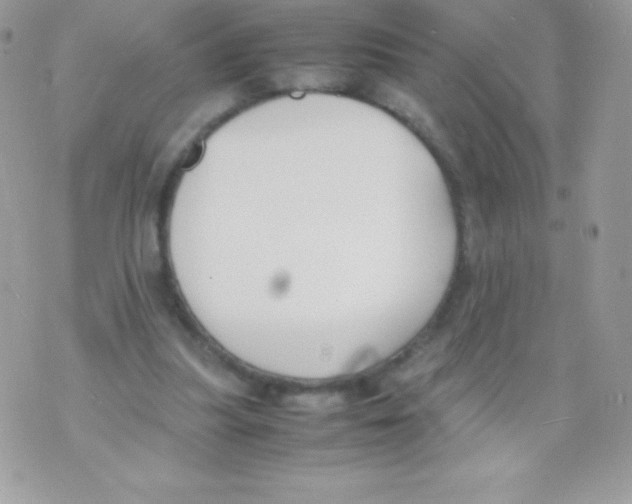 X0000070830251200607142348