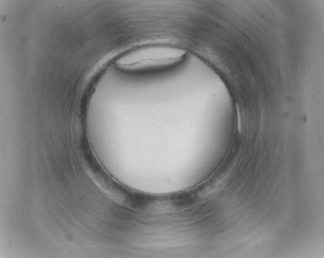 X0000070830252200607142348