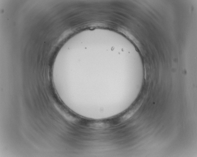 X0000070830253200607142348