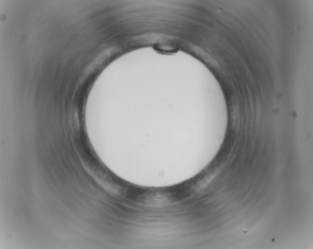 X0000070830254200607142348