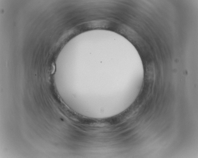 X0000070830255200607142348