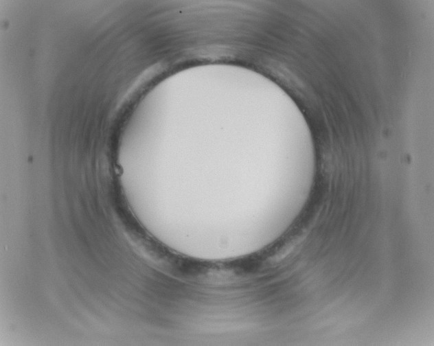 X0000070830256200607142348