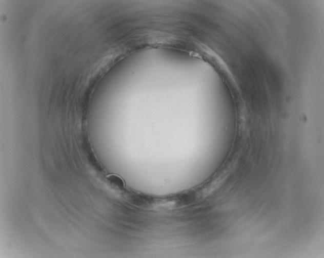 X0000070830257200607142348