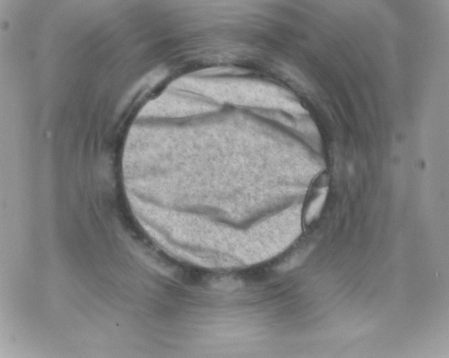 X0000070830258200607142348