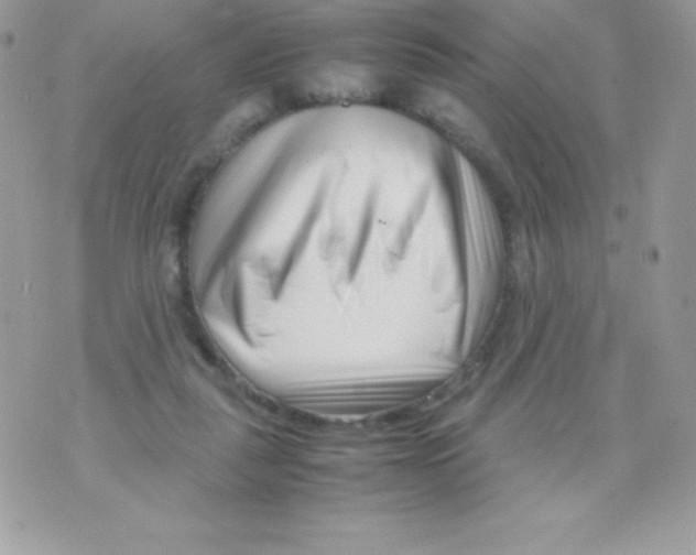 X0000070830259200607142348