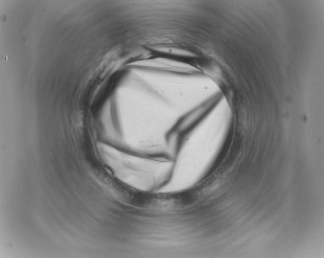 X0000070830260200607142348