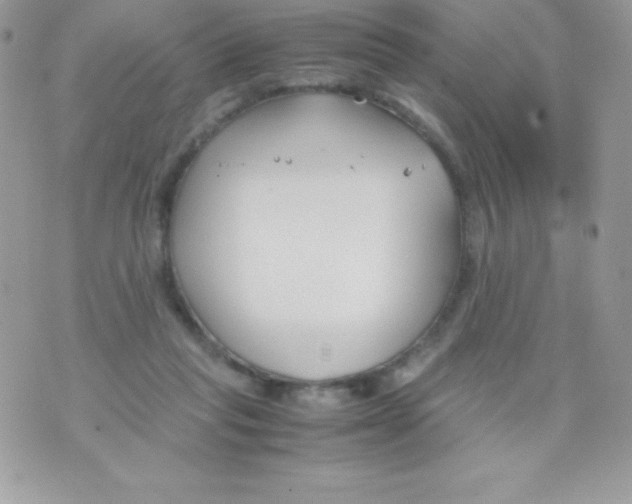 X0000070830261200607142348