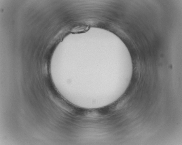 X0000070830262200607142348