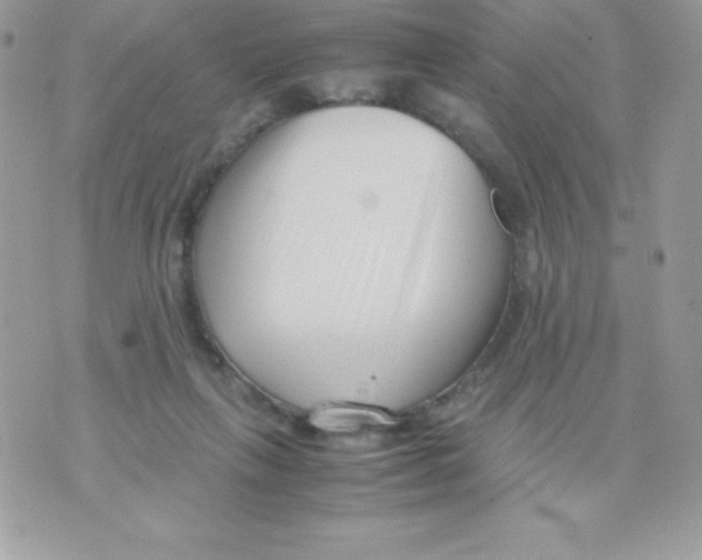 X0000070830263200607142348