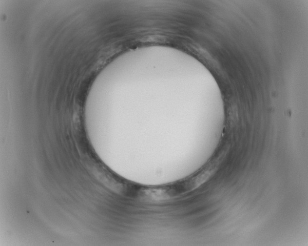 X0000070830265200607142348