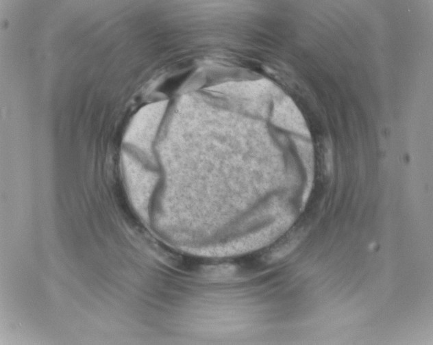 X0000070830266200607142348