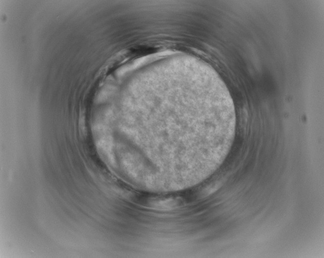 X0000070830267200607142348