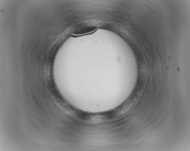 X0000070830268200607142348