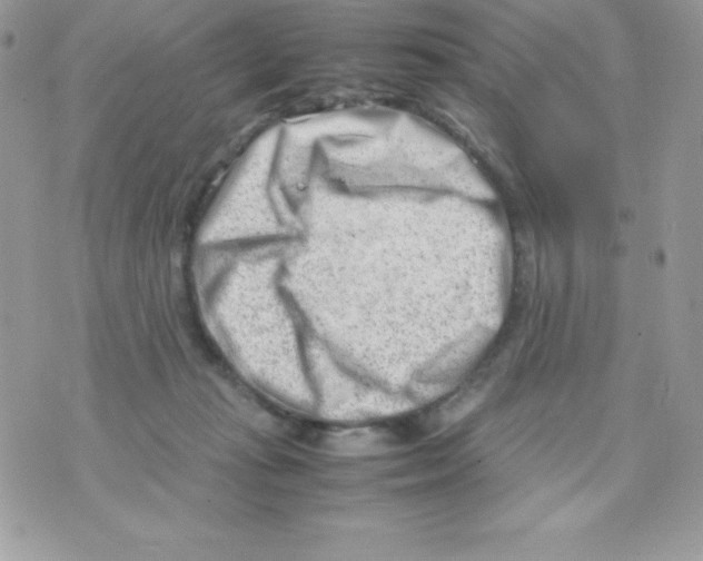 X0000070830269200607142348