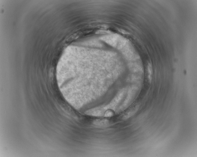 X0000070830271200607142348