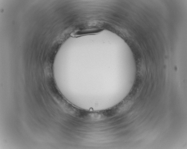 X0000070830272200607142348