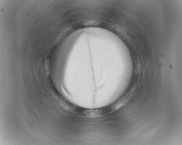 X0000070830273200607142348