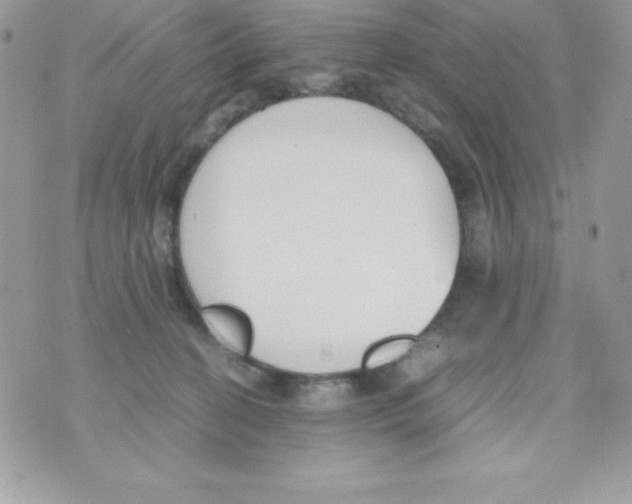 X0000070830274200607142348