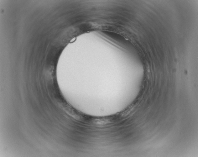 X0000070830275200607142348