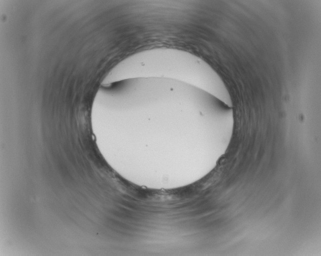 X0000070830276200607142348