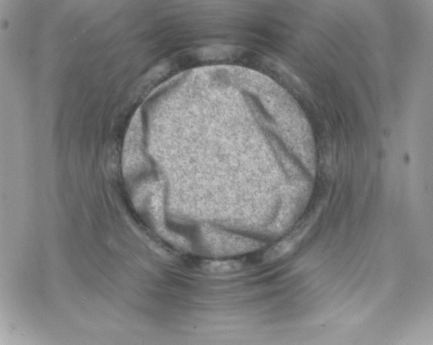 X0000070830277200607142348