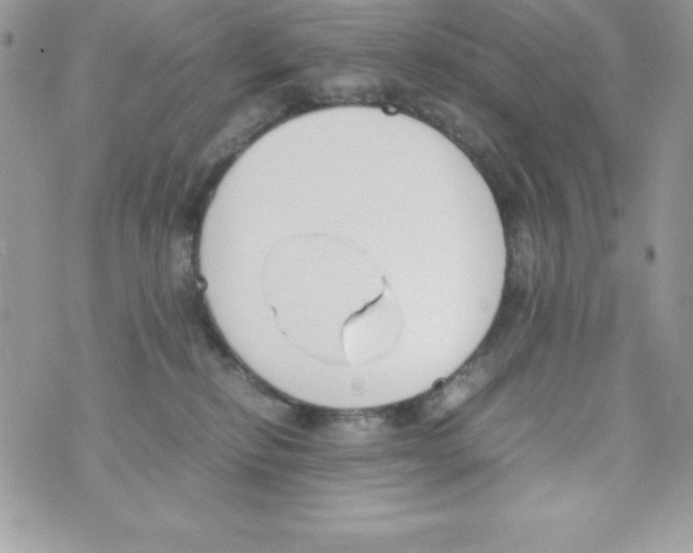 X0000070830278200607142348