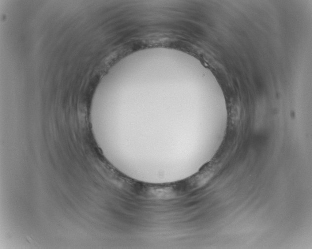 X0000070830283200607142348