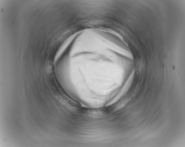 X0000070830284200607142348