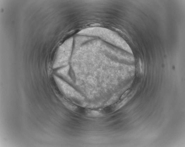 X0000070830285200607142348