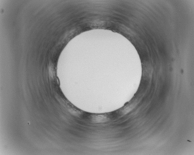 X0000070830287200607142348